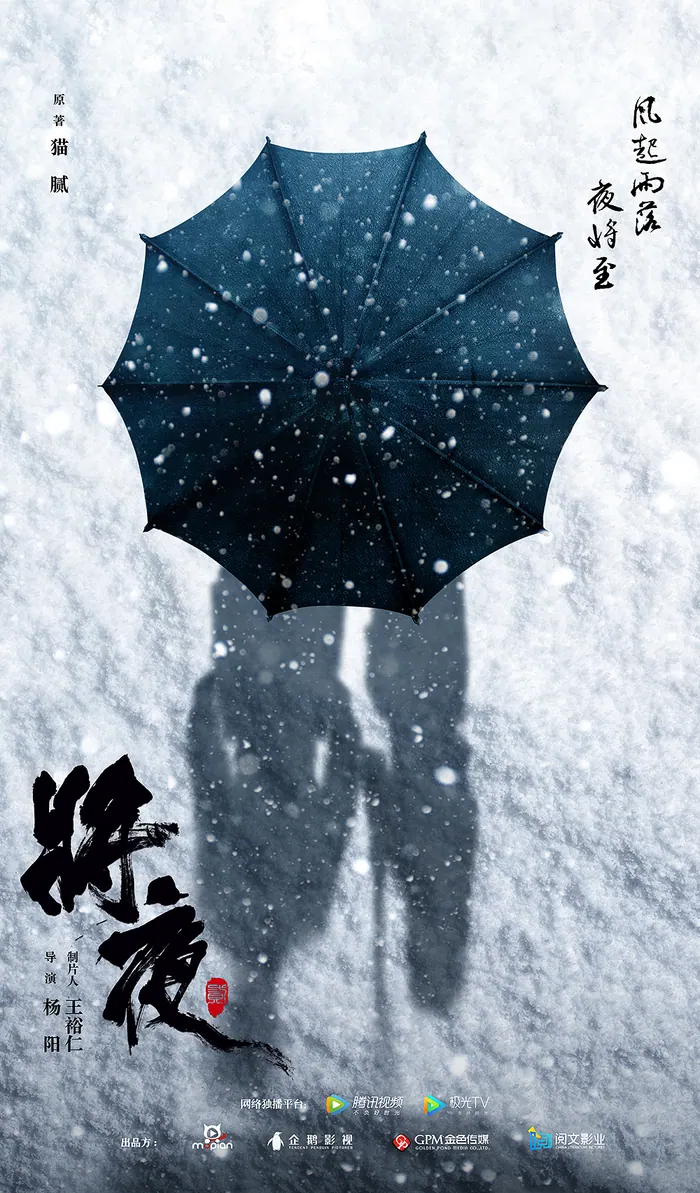 将夜 更新至13集高清资源｜夸克/百度网盘下载封面