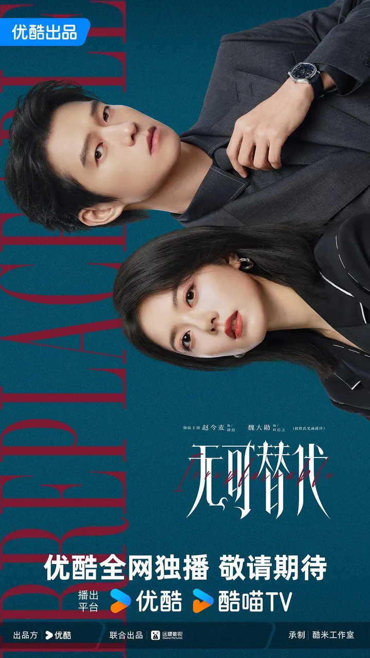 无可替代 20集完结高清资源｜夸克/百度网盘下载